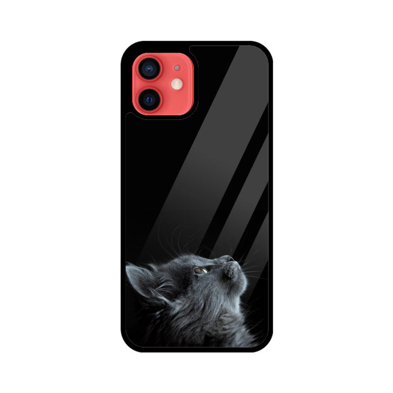 Apple iPhone Glass Phone Case - Cat