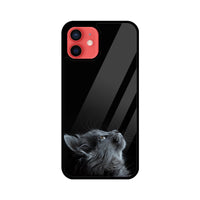 Apple iPhone Glass Phone Case - Cat