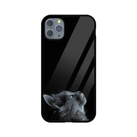 Apple iPhone Glass Phone Case - Cat