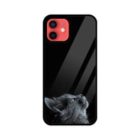 Apple iPhone Glass Phone Case - Cat