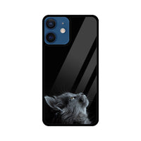 Apple iPhone Glass Phone Case - Cat