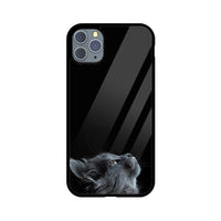 Apple iPhone Glas Handyhülle - Katze