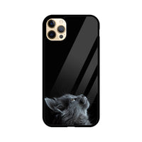 Apple iPhone Glas Handyhülle - Katze