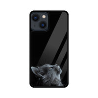 Apple iPhone Glass Phone Case - Cat