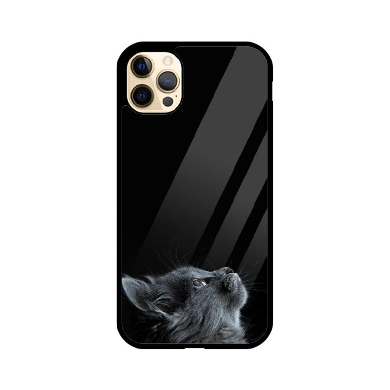 Apple iPhone Glass Phone Case - Cat