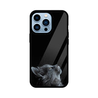 Apple iPhone Glass Phone Case - Cat