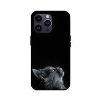 Apple iPhone Glas Handyhülle - Katze
