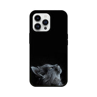 Apple iPhone Glass Phone Case - Cat