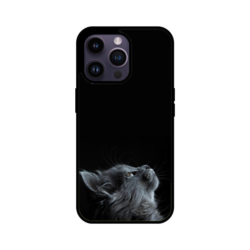 Apple iPhone Glas Handyhülle - Katze