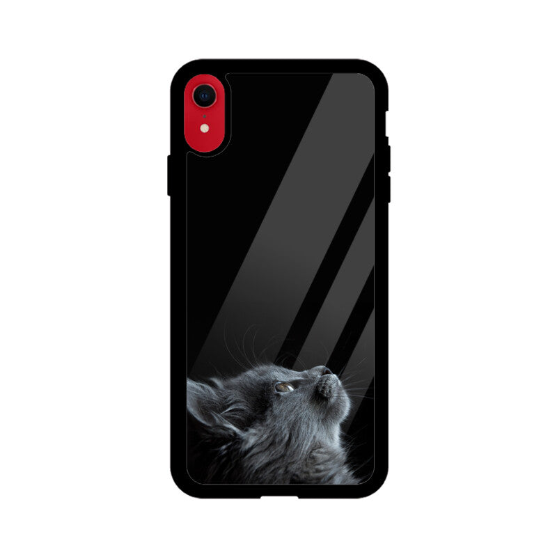 Apple iPhone Glass Phone Case - Cat