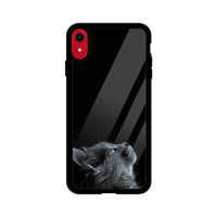 Apple iPhone Glass Phone Case - Cat