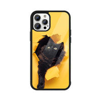 Apple iPhone Glass Phone Case