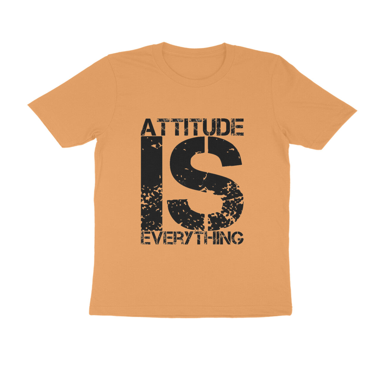 Attitude is Everything